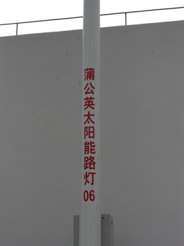 CIMG0208