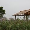 IMG_2882