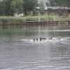 IMG_2906