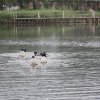 IMG_2907