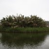 IMG_2920